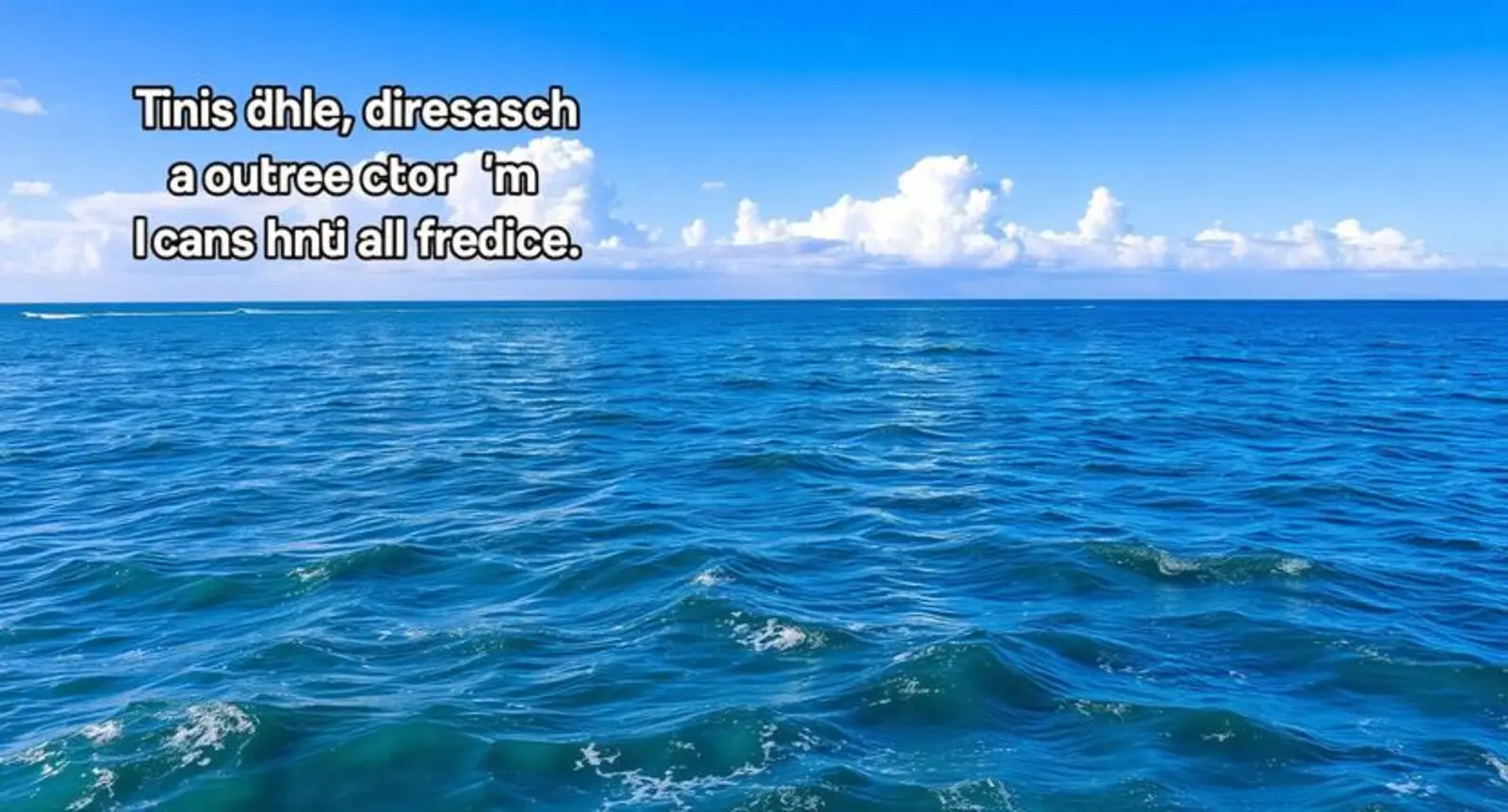 Ocean Jokes